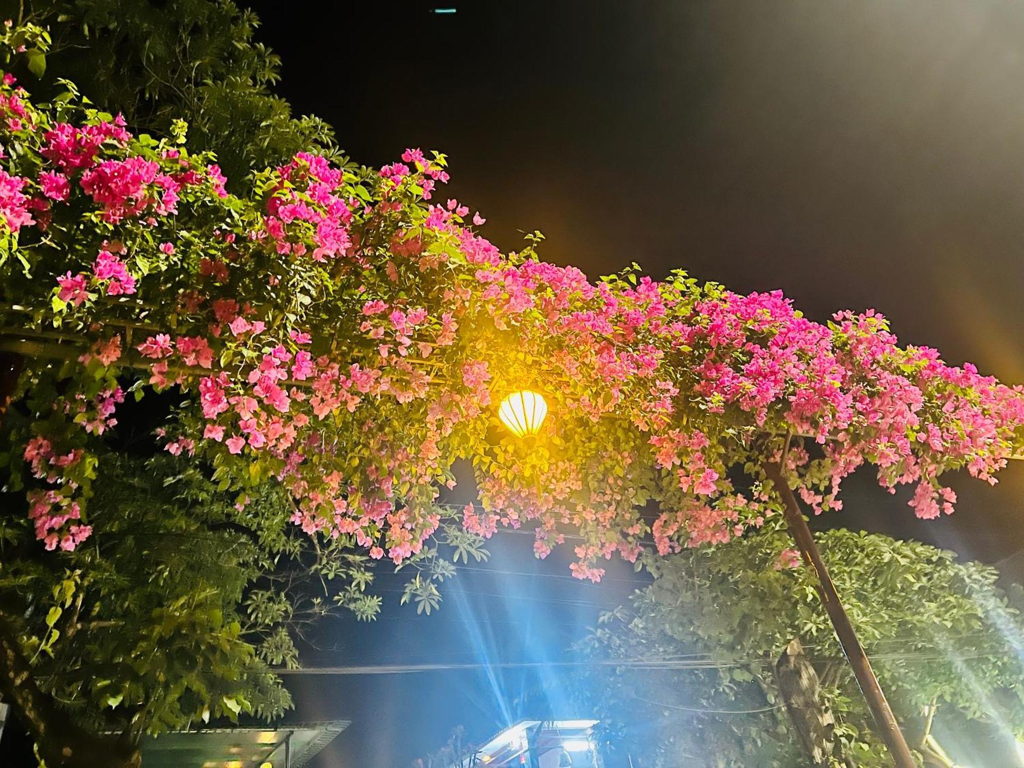 Апартаменти Phong Nha Tuan Garden House Екстер'єр фото
