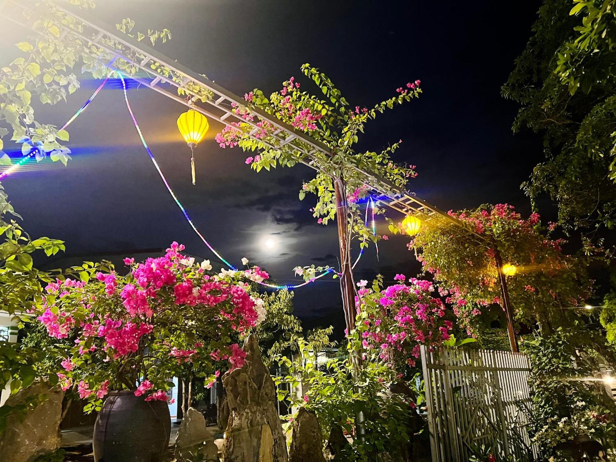 Апартаменти Phong Nha Tuan Garden House Екстер'єр фото